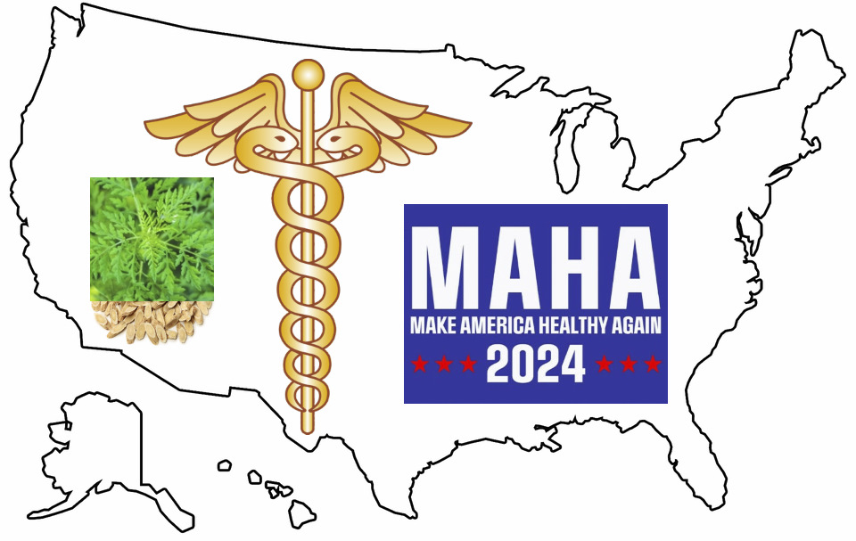 Image for Election 2024 Healthcare Analysis Article